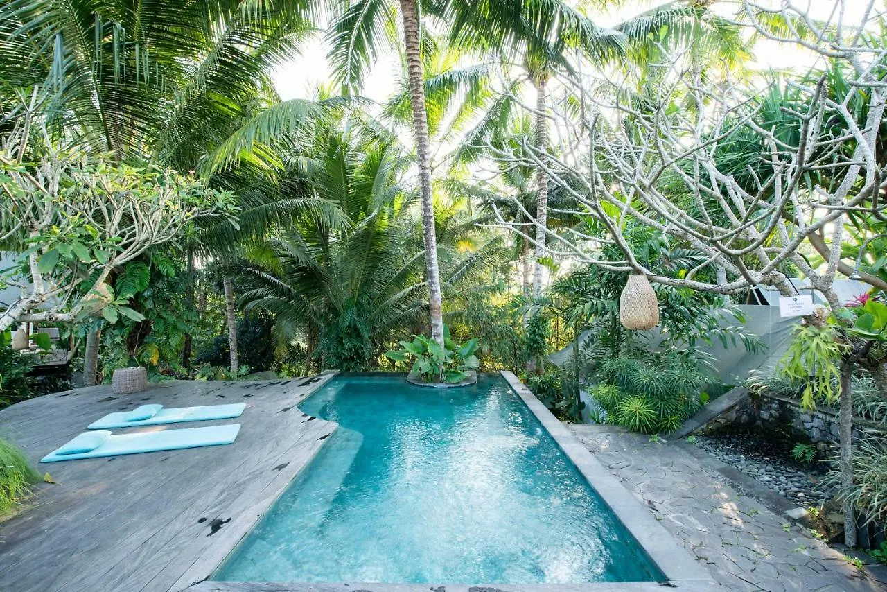 Ubud Tropical Auberge de jeunesse