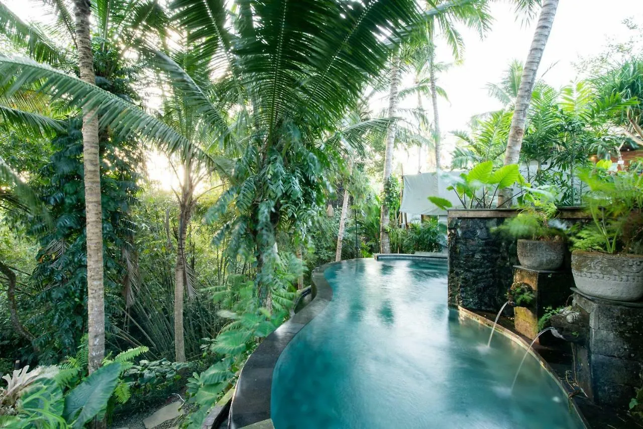 Ubud Tropical Indonesia