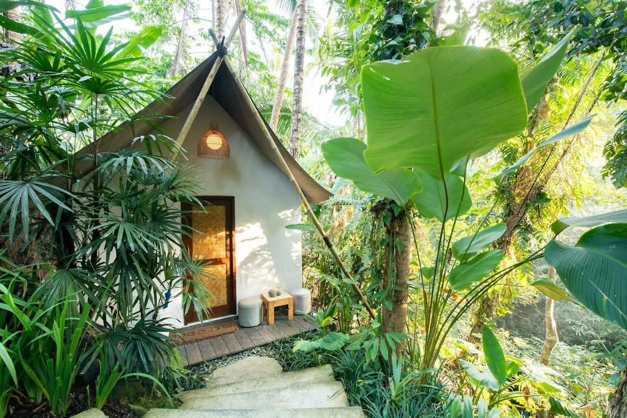 Ubud Tropical Indonesia